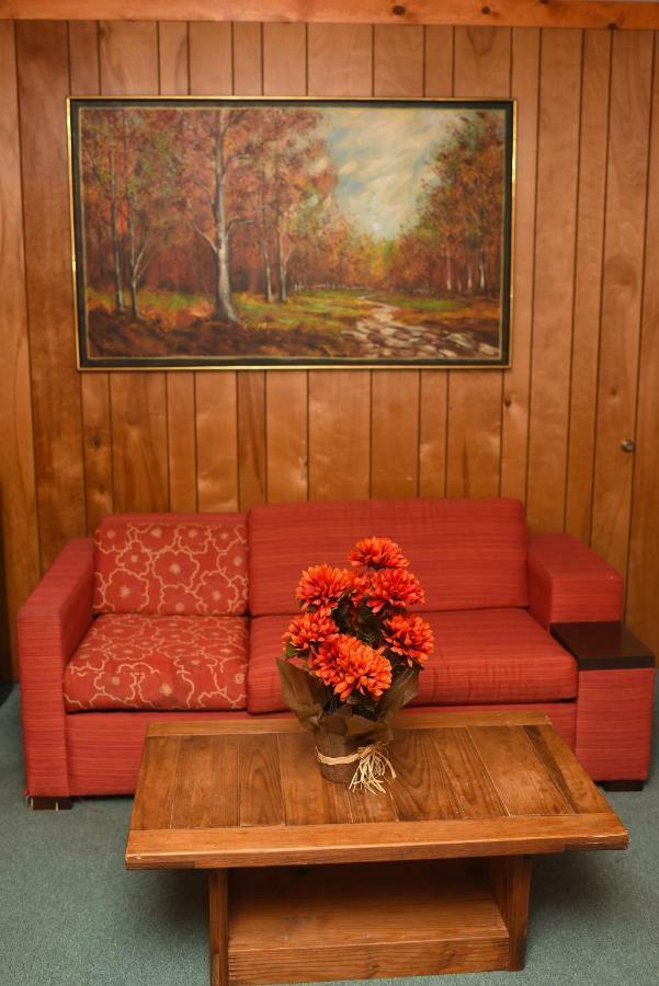 Chestnut Grove Family Resort 波科诺山 外观 照片